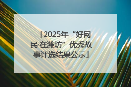 2025年“好网民·在潍坊”优秀故事评选结果公示