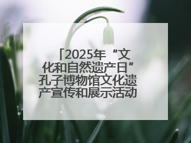 2025年“文化和自然遗产日”孔子博物馆文化遗产宣传和展示活动启动仪式举行