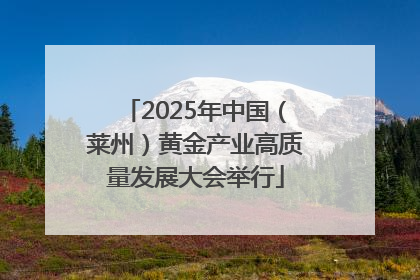 2025年中国（莱州）黄金产业高质量发展大会举行