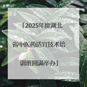 2025年度湖北省中医药适宜技术培训班圆满举办