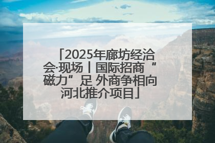 2025年廊坊经洽会·现场丨国际招商“磁力”足 外商争相向河北推介项目