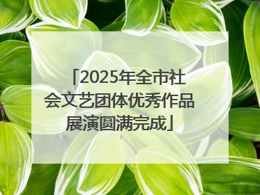2025年全市社会文艺团体优秀作品展演圆满完成