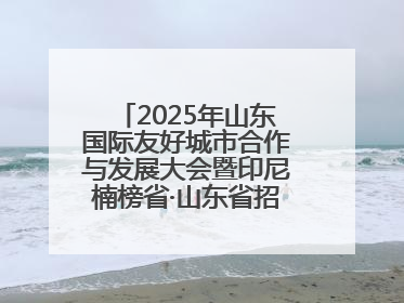 2025年山东国际友好城市合作与发展大会暨印尼楠榜省·山东省招商交流会在济南槐荫举行