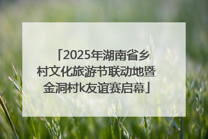 2025年湖南省乡村文化旅游节联动地暨金洞村k友谊赛启幕