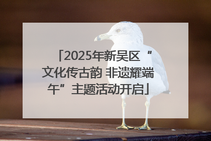 2025年新吴区“文化传古韵 非遗耀端午”主题活动开启