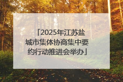 2025年江苏盐城市集体协商集中要约行动推进会举办