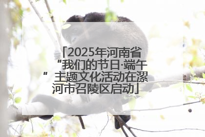 2025年河南省“我们的节日·端午”主题文化活动在漯河市召陵区启动