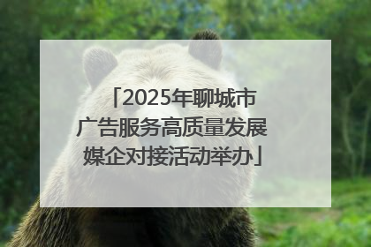 2025年聊城市广告服务高质量发展媒企对接活动举办