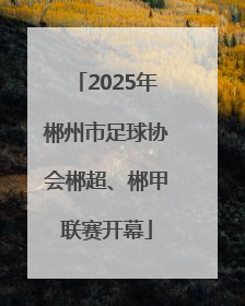 2025年郴州市足球协会郴超、郴甲联赛开幕