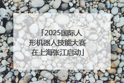 2025国际人形机器人技能大赛在上海张江启动