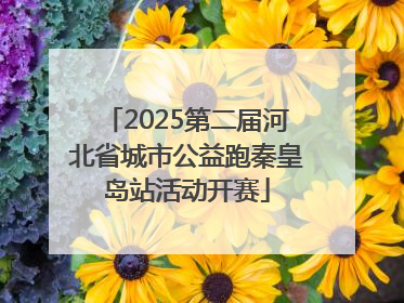 2025第二届河北省城市公益跑秦皇岛站活动开赛