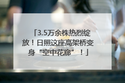 3.5万余株热烈绽放！日照这座高架桥变身“空中花廊”！