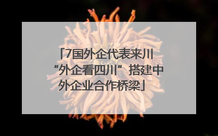 7国外企代表来川 “外企看四川”搭建中外企业合作桥梁