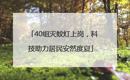 40组灭蚊灯上岗，科技助力居民安然度夏