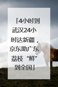 4小时到武汉24小时达新疆，京东助广东荔枝“鲜”到全国
