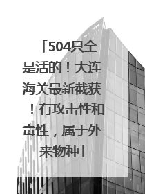 504只全是活的！大连海关最新截获！有攻击性和毒性，属于外来物种