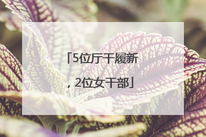 5位厅干履新，2位女干部