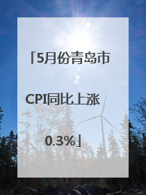 5月份青岛市CPI同比上涨0.3%