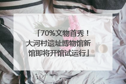 70%文物首秀！大河村遗址博物馆新馆即将开馆试运行