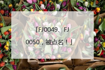 FJ0049、FJ0050，被点名！